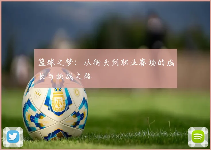 篮球之梦：从街头到职业赛场的成长与挑战之路