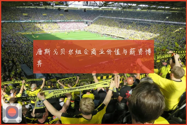 唐斯戈贝尔组合商业价值与薪资博弈