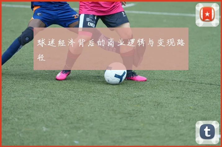 球迷经济背后的商业逻辑与变现路径