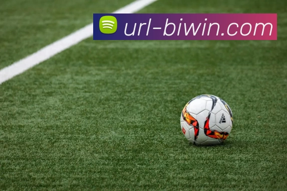 必赢官网平台生态图