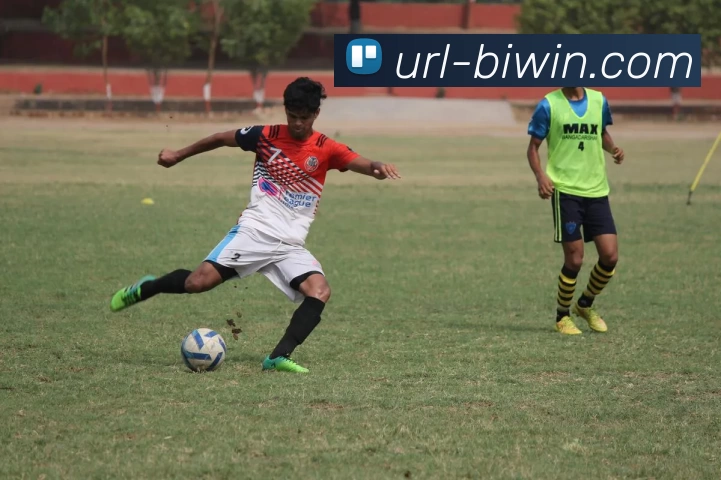 必赢官网APP 封面图